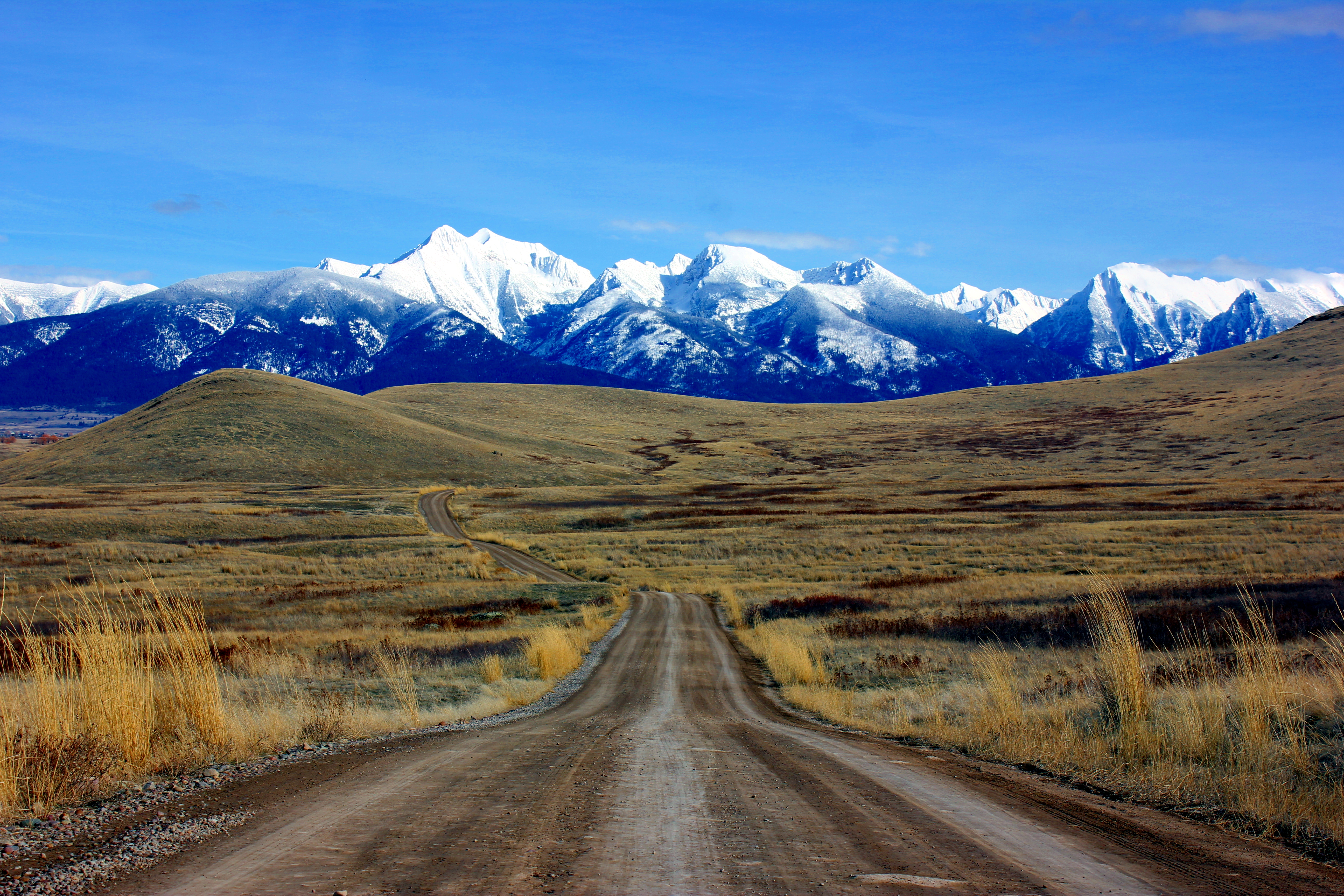 Montana