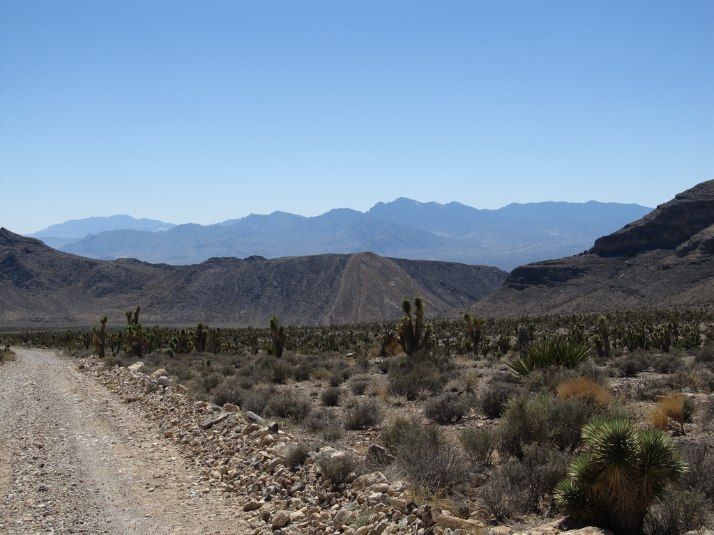 Nevada